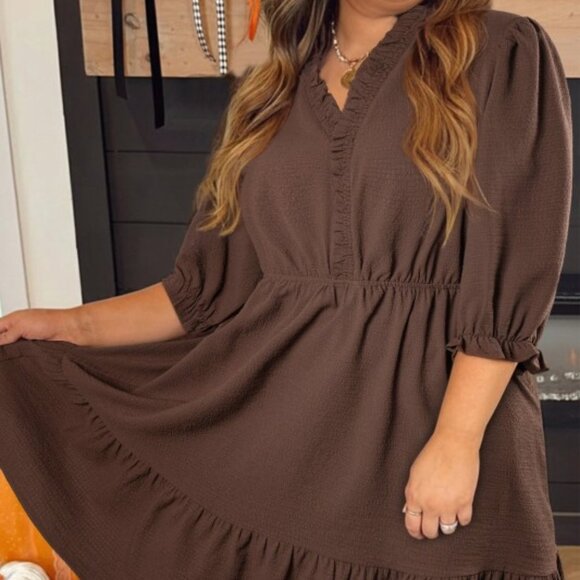 Plus Size Frilled Trim V-Neck Puff Sleeve Textured Dress - Picture 1 of 4
